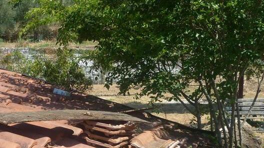 «Noi che amiamo il borgo di Mirteto e lo puliamo gratis»