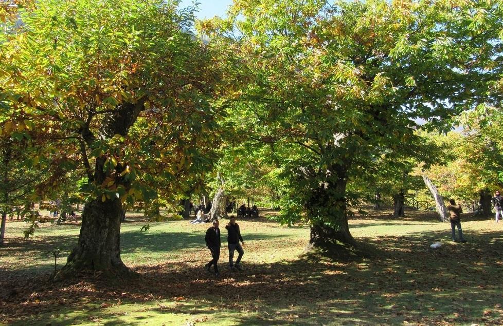 Montecreto, un picnic sotto i castagni Domenica mercato del Forte 