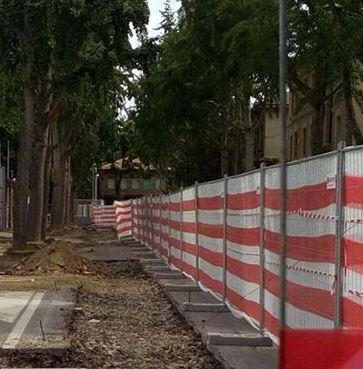 Alberi “graziati” nel cantiere stadio «Non come nel 2016»