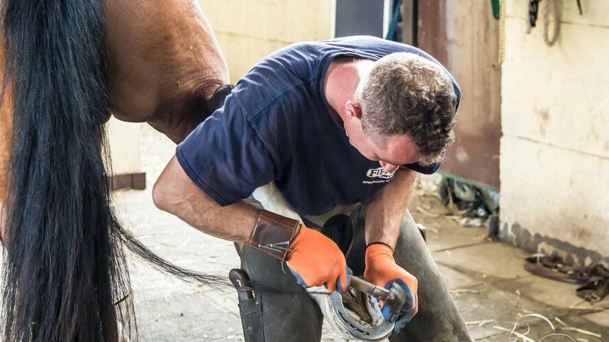 Pasquale al lavoro