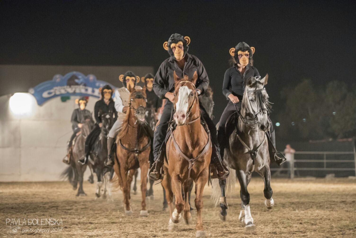 Il Gruppo equestre di San Vincenzo in una simpatica coreografia (foto Pavla Dolenska)