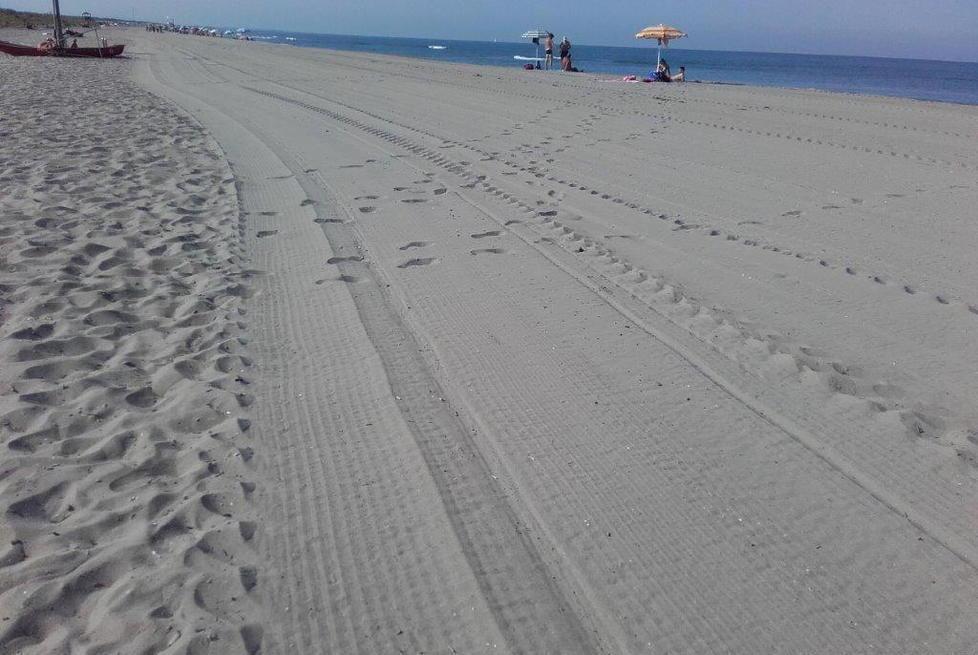 Punta da siringa, spiaggia ripulita a Marina