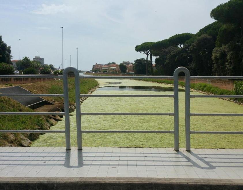 Mare pulito, prove di pace tra Arpat e Università 