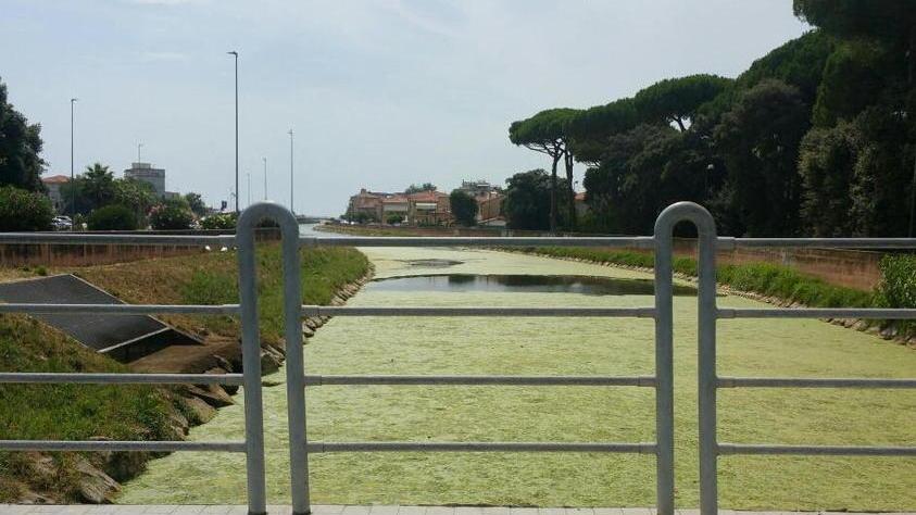 Mare pulito, prove di pace tra Arpat e Università