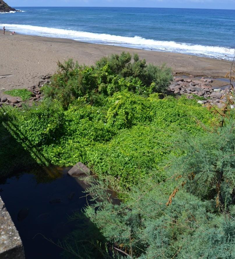 Mare inquinato a Turas, il Comune: «Noi in regola»