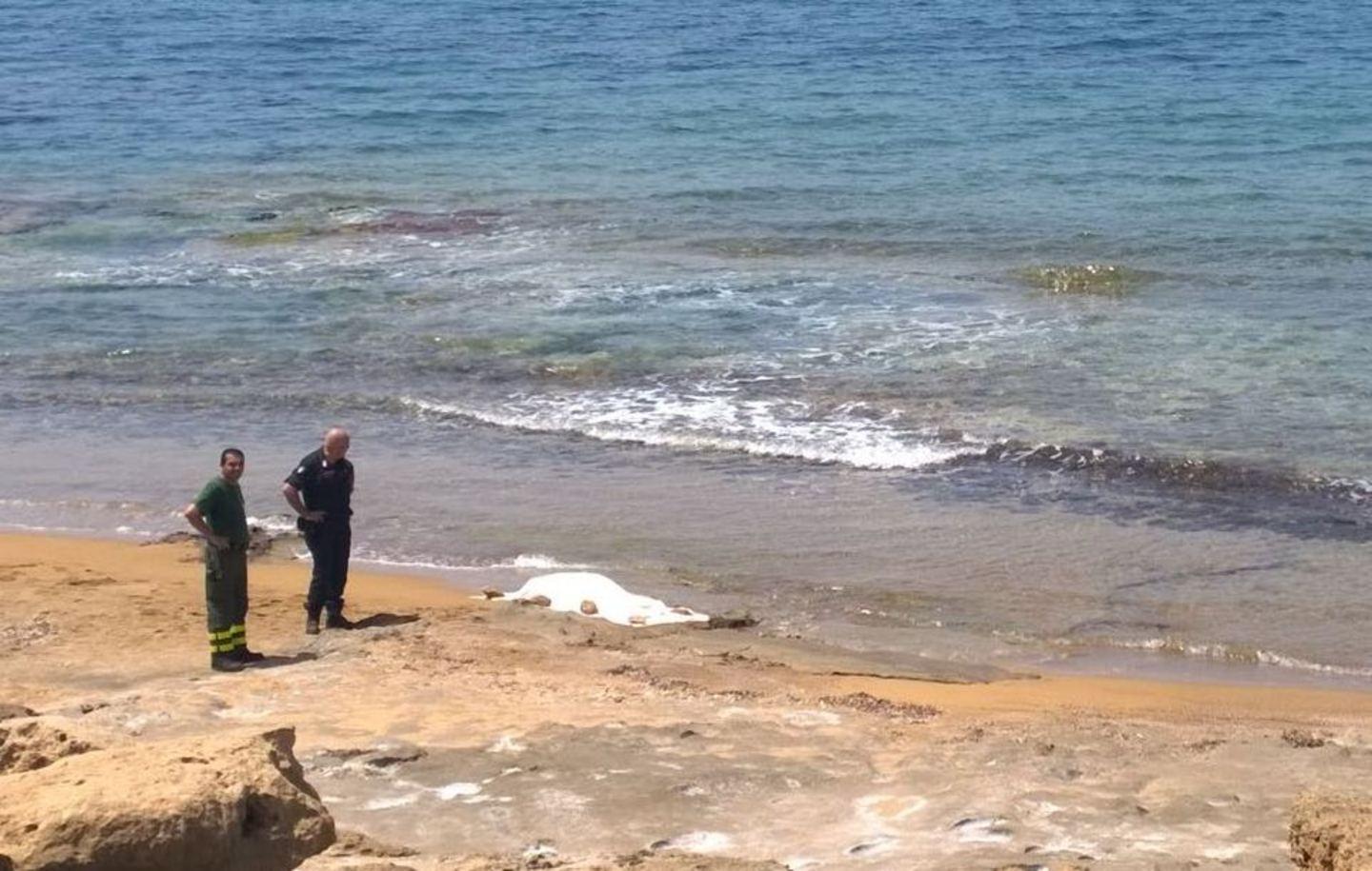 Il mare restituisce il corpo di Alessio Atzori 