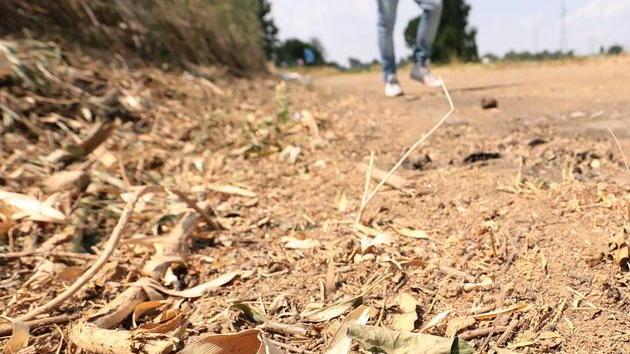 Una zona di Empoli prigioniera della droga che arriva dalla Fi-Pi-Li - Foto