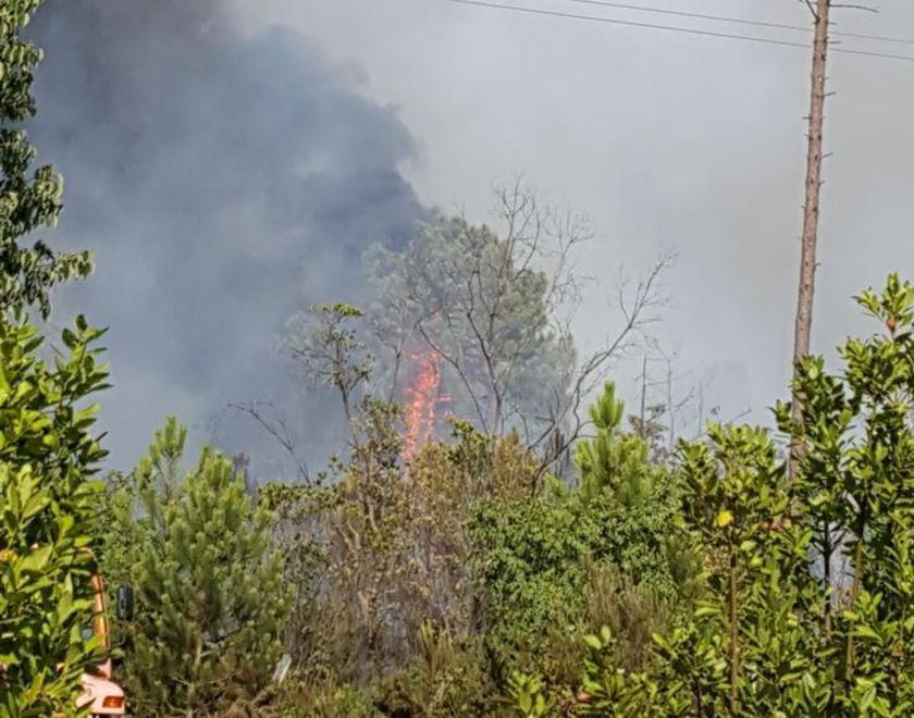Vasto incendio nel bosco del parco Robinson