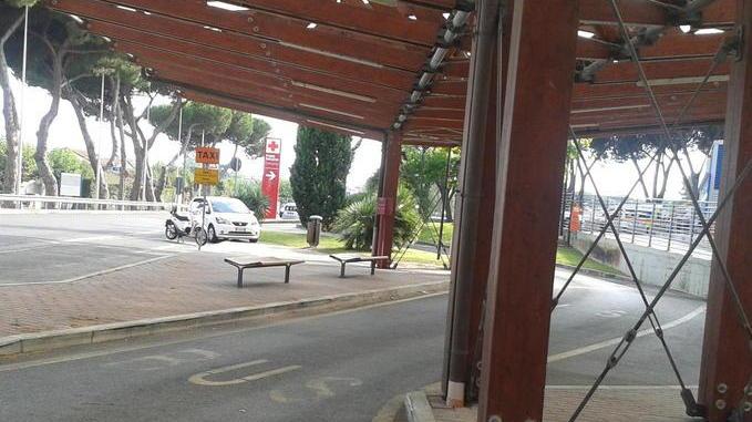La sera niente bus e taxi dal Versilia