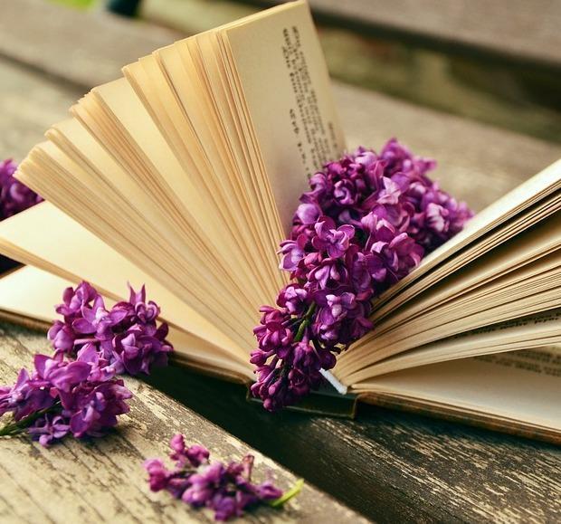 Storia, cucina e film Libri a Lo Quarter