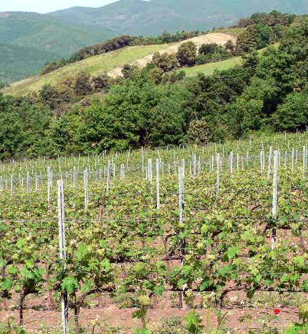 Monteverdi, i poderi riavranno l’acqua 