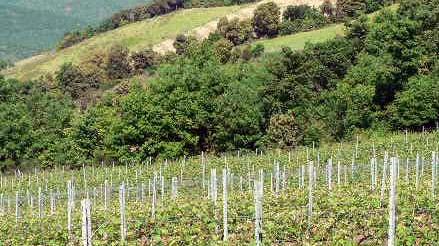 Monteverdi, i poderi riavranno l’acqua