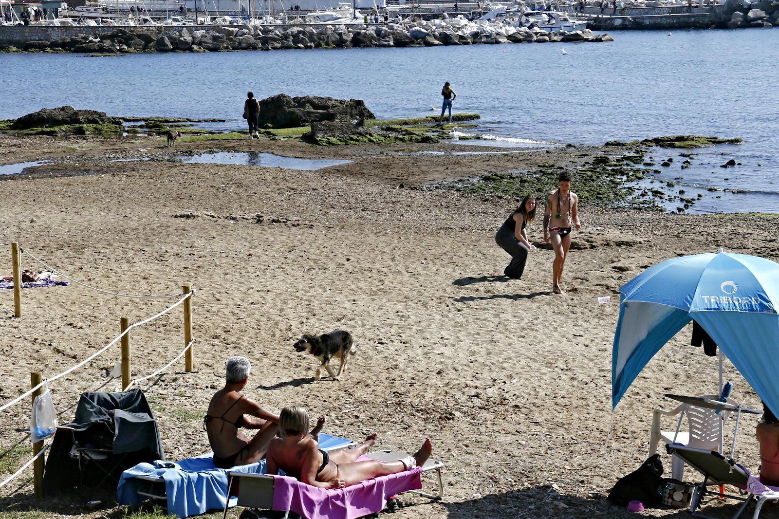 La spiaggia dei cani del rio Felciaio