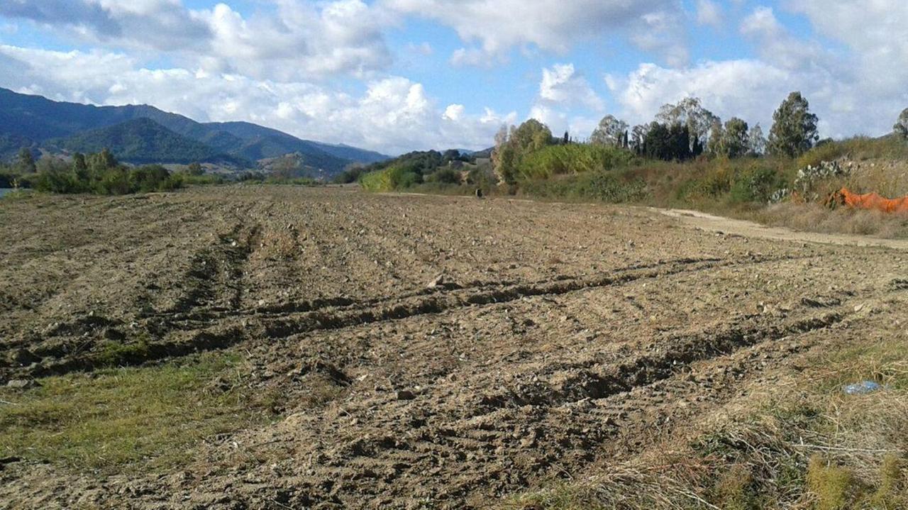 Siccità in Sardegna, autobotti nelle campagne per abbeverare gli animali