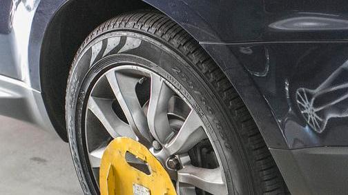 A Modena ganasce e rimozioni valgono ogni anno più di 140mila euro