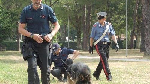 Droga nascosta nelle buche del parco dell’ex Ippodromo