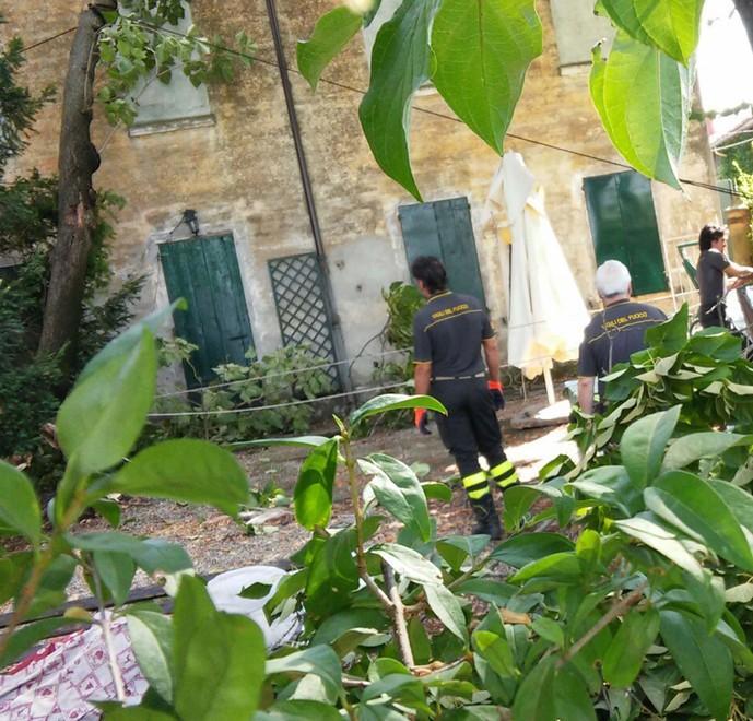 Due alberi precipitano sulla via Emilia e su una casa 