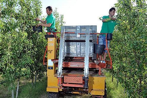 Baby imprenditori: la prima scelta diventa l’agricoltura 