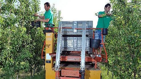 Baby imprenditori: la prima scelta diventa l’agricoltura