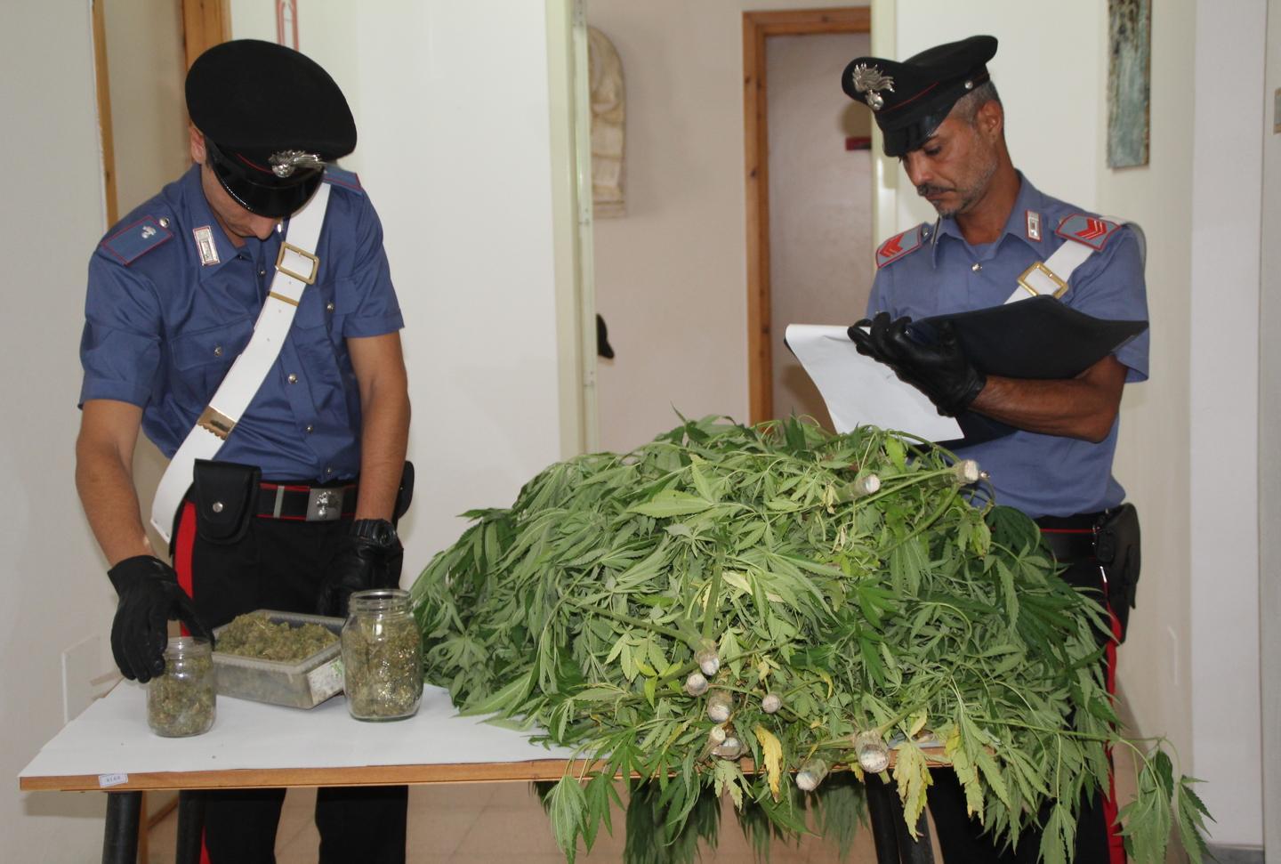 Marijuana nel cortile i carabinieri di Sorso arrestano un 52enne