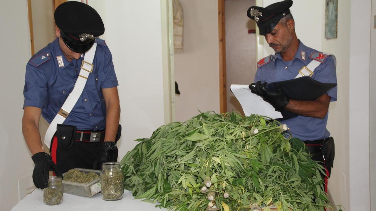 Marijuana nel cortile i carabinieri di Sorso arrestano un 52enne
