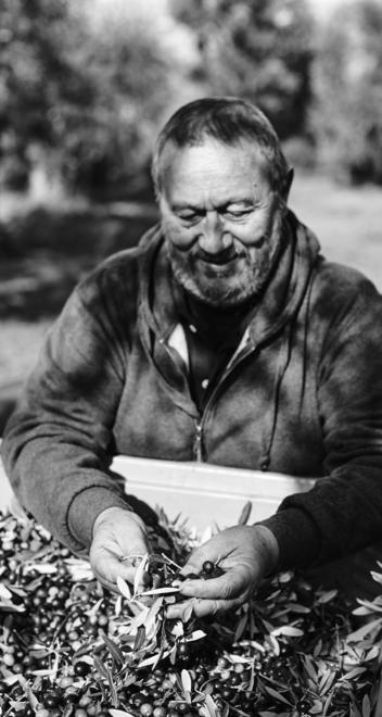 Addio al re dell’olio Michele Di Gaetano famoso nel mondo 