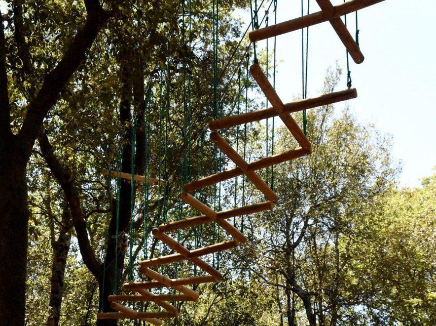 A Scarlino si cammina sospesi tra gli alberi 