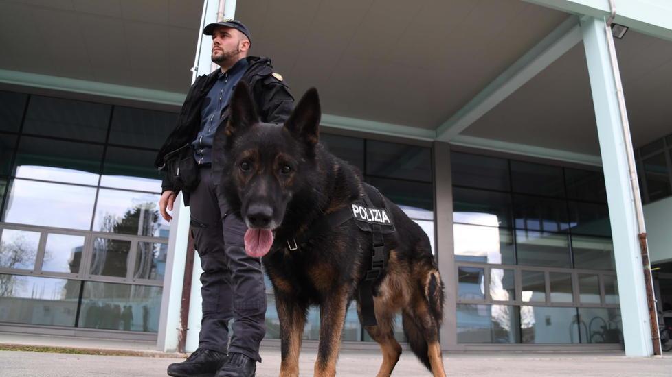 Controlli a tappeto sul litorale Scovata una busta con l’hashish