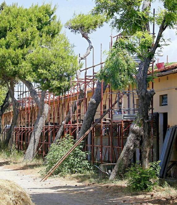 Nella terra di nessuno resistono cavalli e allenatori