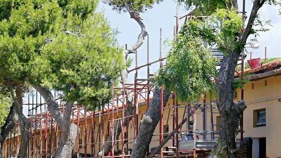 Nella terra di nessuno resistono cavalli e allenatori