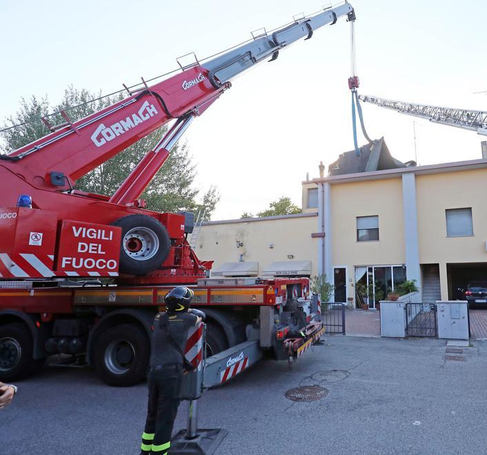 Alcuni alberi da abbattere nel parco Sceriffi Ecologici