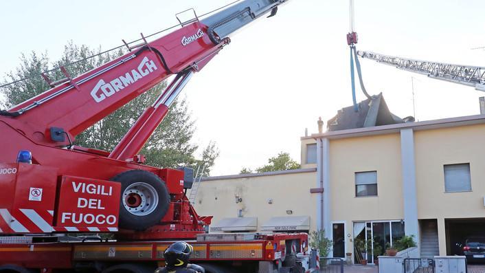 Alcuni alberi da abbattere nel parco Sceriffi Ecologici