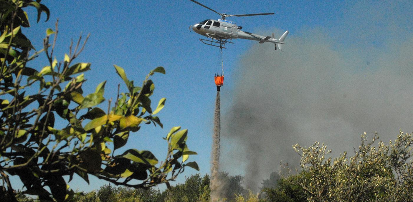 San Vero Milis, l’incendio distrugge campo di marijuana 