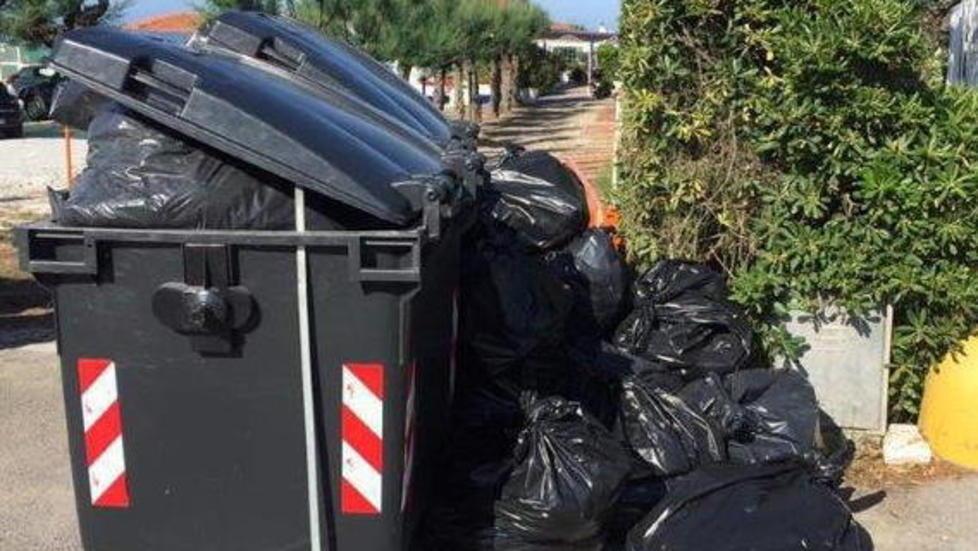 Rifiuti: verde e organico vanno separati 