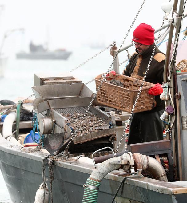 Pesca, cinque milioni dalla Regione per piani di sviluppo 