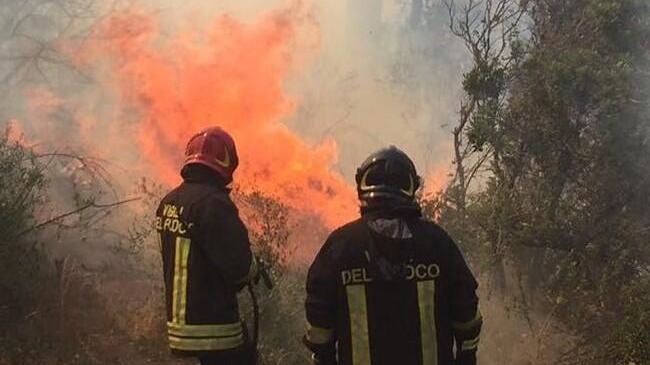 Incendi, distrutti oltre mille ettari