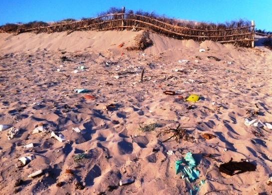 L’isola ecologica della discordia 