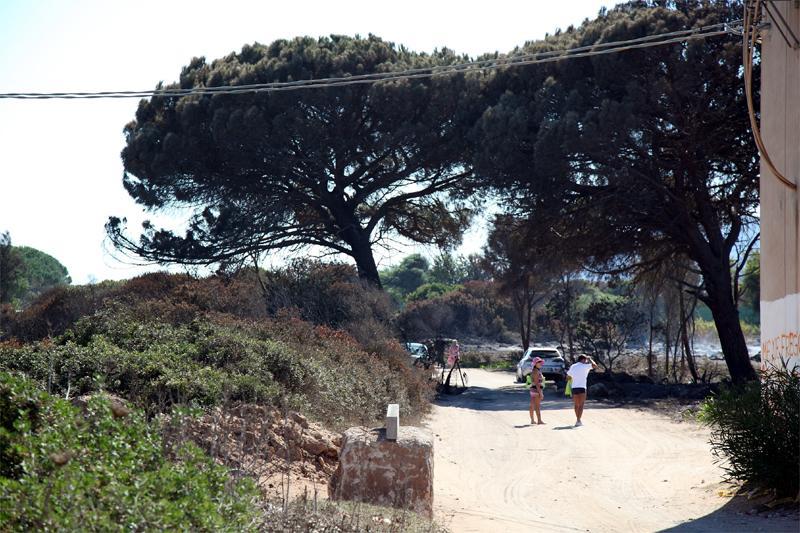 Pineta Mugoni