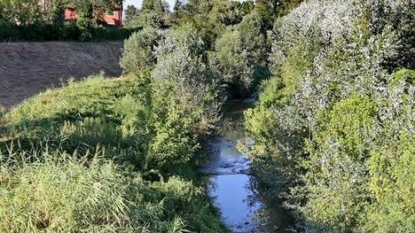 Modena, ladro scoperto a rubare pneumatici scappa tuffandosi nel torrente Tiepido