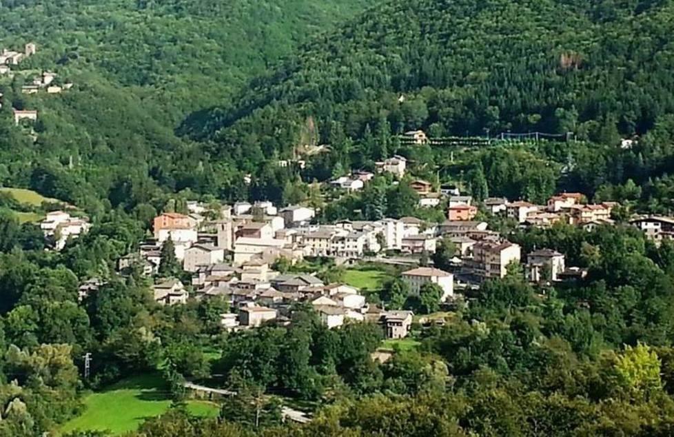 Riolunato, giornata per conoscere le api Stasera concerto con i Viulan