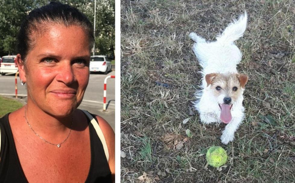 Viareggio, "Dall’incontro col pitbull mia figlia non dorme"