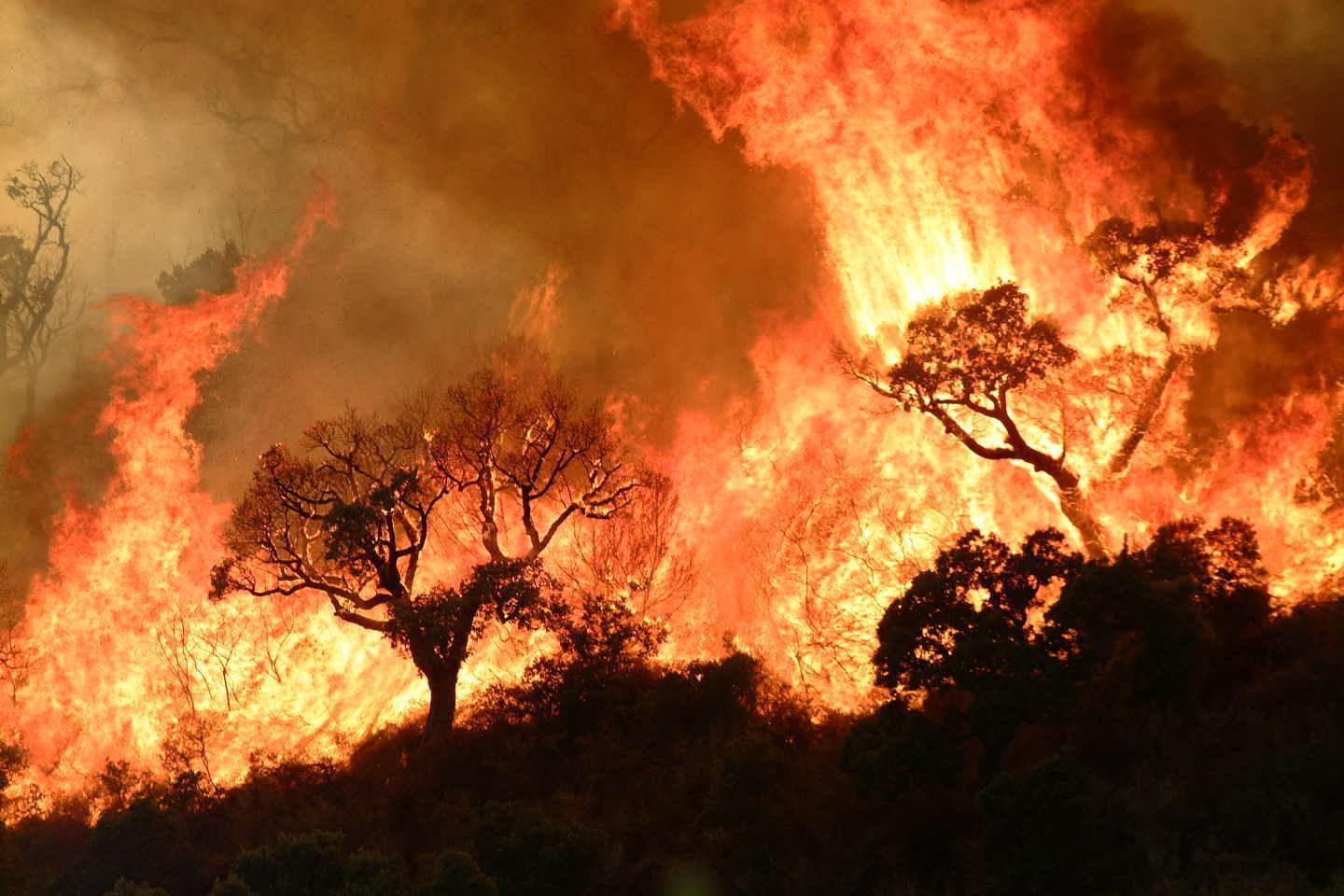 Un incendio