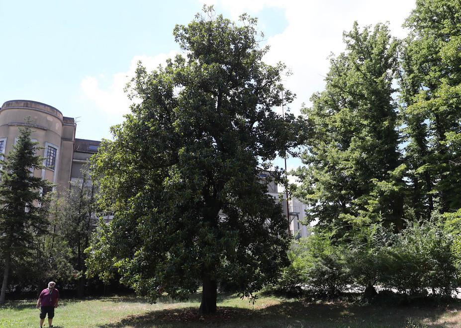 Assemblea su parco e asilo nido