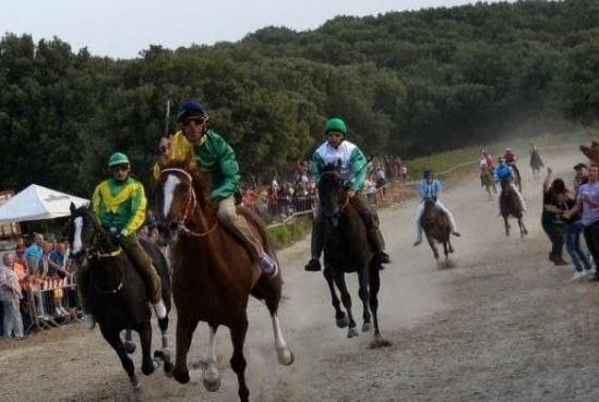 Gli anglo arabo sardi in pista 