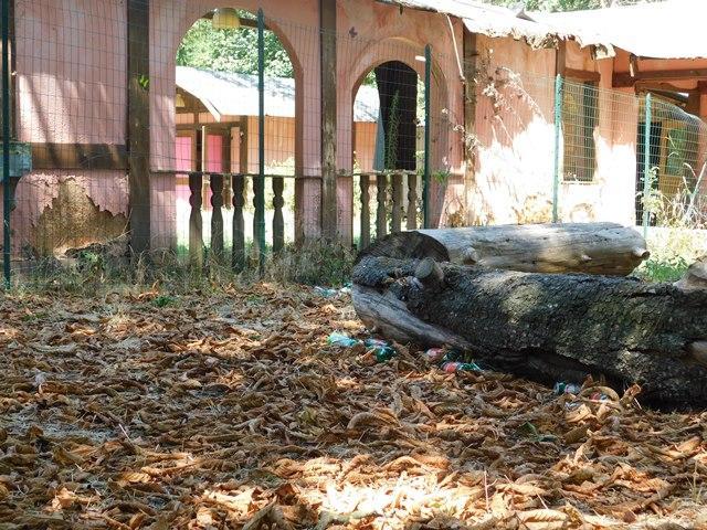 Legnolandia, il parco reggiano di laboratori e giochi ora lasciato a marcire