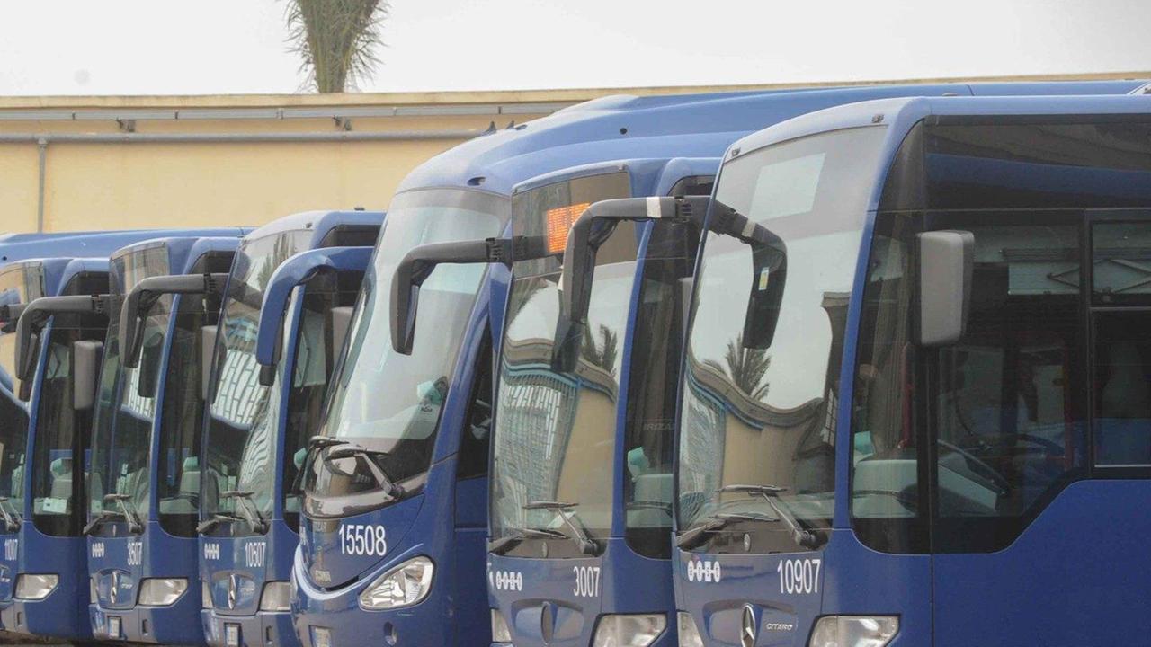 Regione: in arrivo 101 nuovi autobus