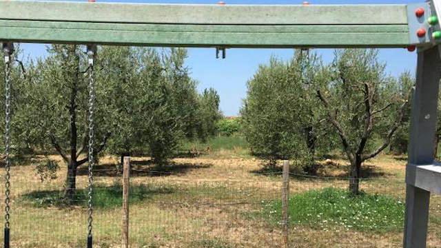 Una veduta del parco giochi