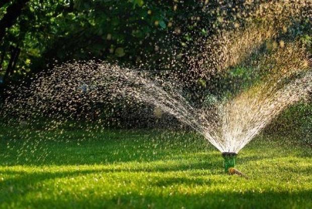 L'irrigazione di un giardino