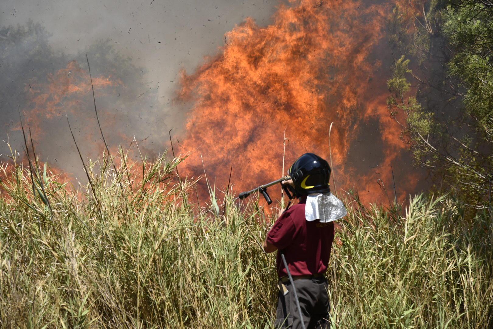 L'incendio in via Aurelia nord (foto Bf)