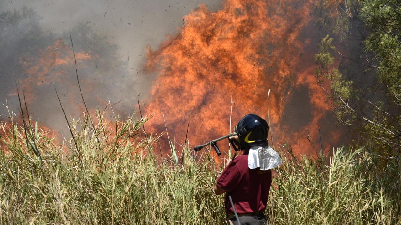 L'incendio in via Aurelia nord (foto Bf)